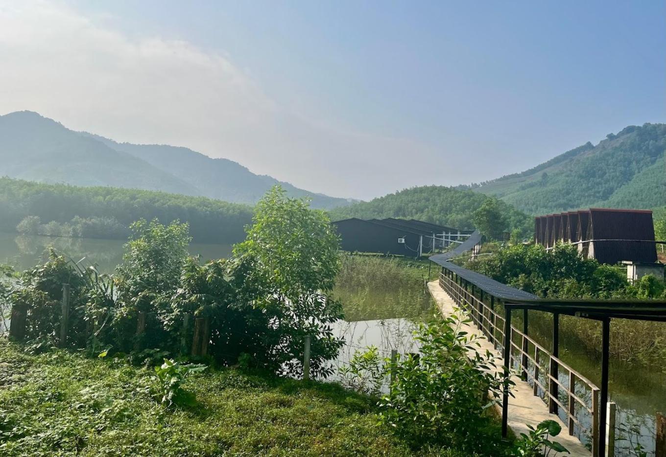 פונג נה Nguyen Shack Retreat Resort מראה חיצוני תמונה